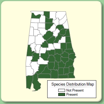 Species Distribution Map