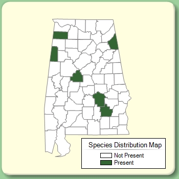 Species Distribution Map