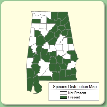 Species Distribution Map