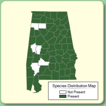 Species Distribution Map