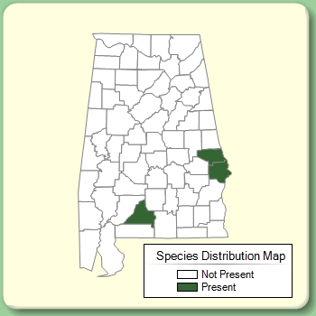 Species Distribution Map