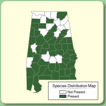 Species Distribution Map