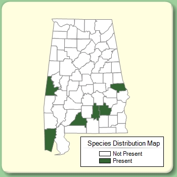 Species Distribution Map