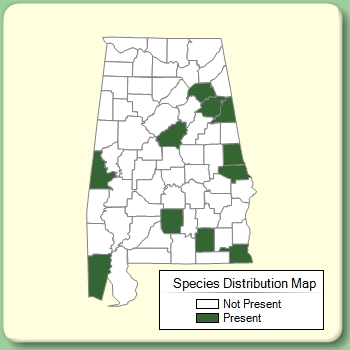 Species Distribution Map