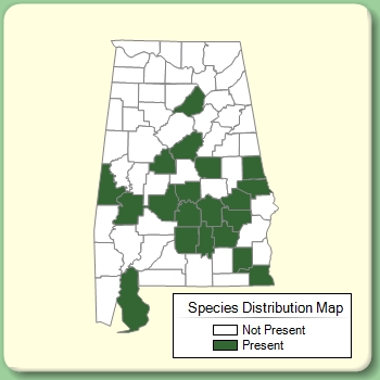 Species Distribution Map