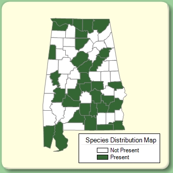 Species Distribution Map