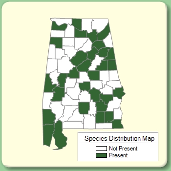 Species Distribution Map