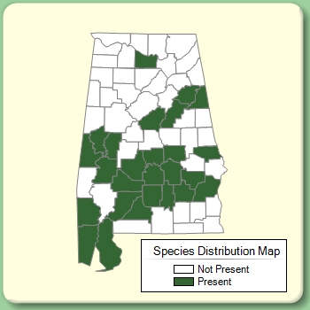 Species Distribution Map