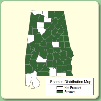 Species Distribution Map