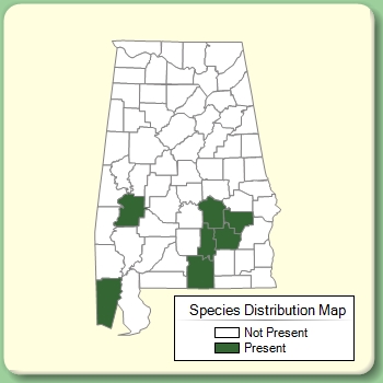 Species Distribution Map