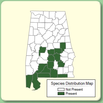 Species Distribution Map