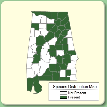 Species Distribution Map