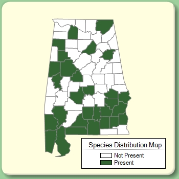 Species Distribution Map