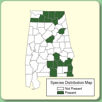 Species Distribution Map