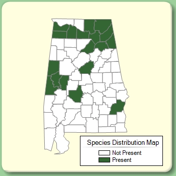 Species Distribution Map