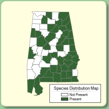 Species Distribution Map