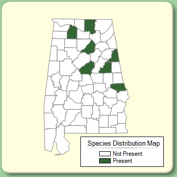 Species Distribution Map