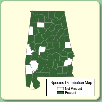 Species Distribution Map