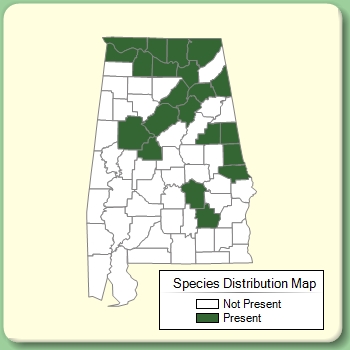 Species Distribution Map