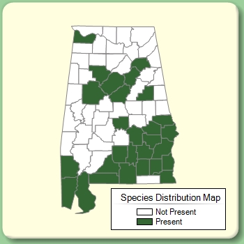 Species Distribution Map