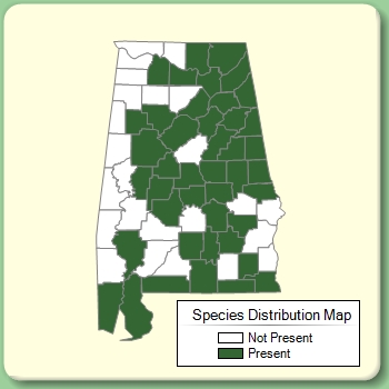 Species Distribution Map