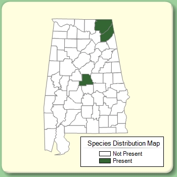 Species Distribution Map