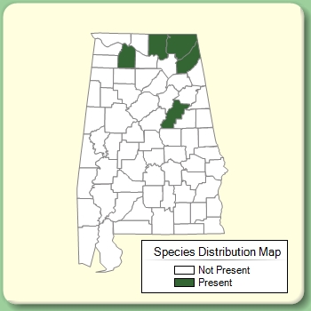 Species Distribution Map