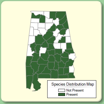 Species Distribution Map