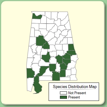 Species Distribution Map