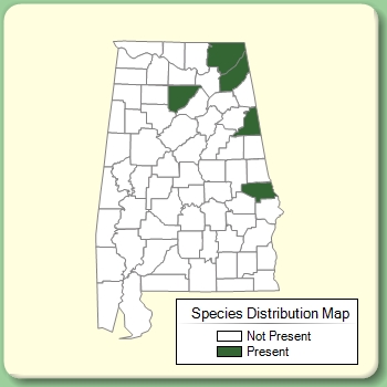 Species Distribution Map