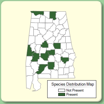 Species Distribution Map