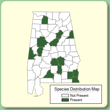 Species Distribution Map