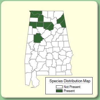 Species Distribution Map