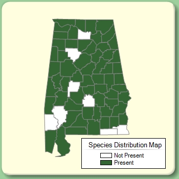 Species Distribution Map