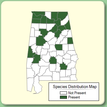 Species Distribution Map