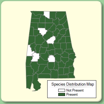 Species Distribution Map