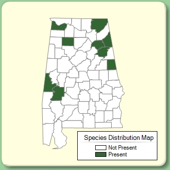 Species Distribution Map