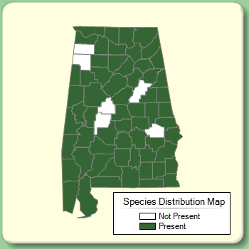 Species Distribution Map