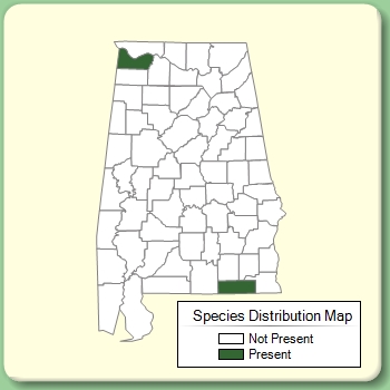 Species Distribution Map