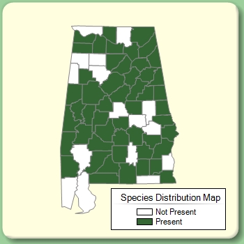 Species Distribution Map