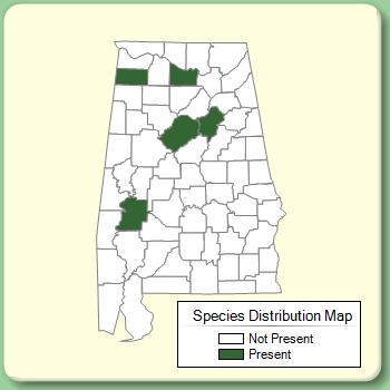 Species Distribution Map