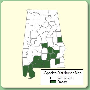 Species Distribution Map