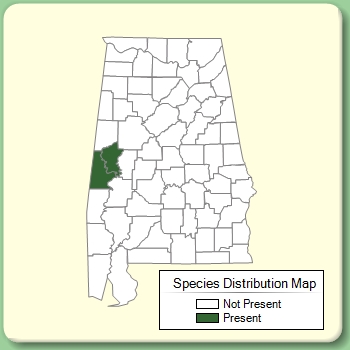 Species Distribution Map