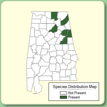 Species Distribution Map