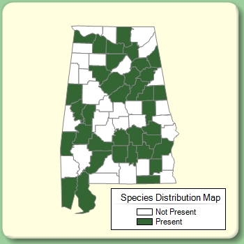 Species Distribution Map