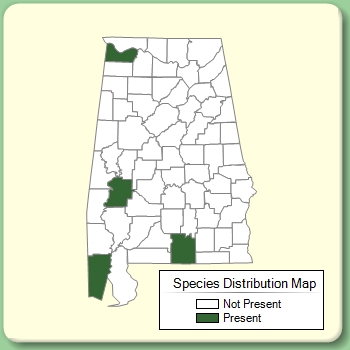 Species Distribution Map