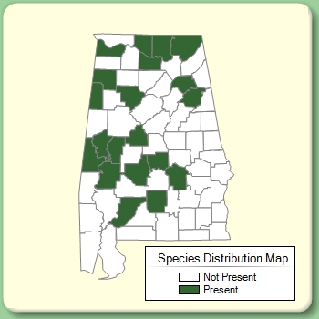 Species Distribution Map