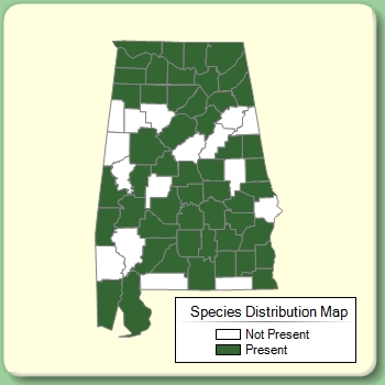 Species Distribution Map