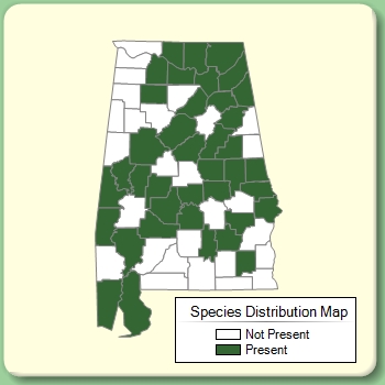 Species Distribution Map