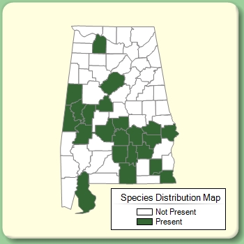 Species Distribution Map